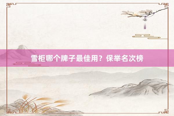 雪柜哪个牌子最佳用？保举名次榜