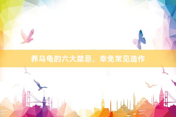 养乌龟的六大禁忌,幸免常见造作