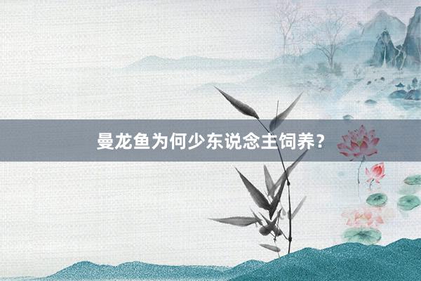 曼龙鱼为何少东说念主饲养?